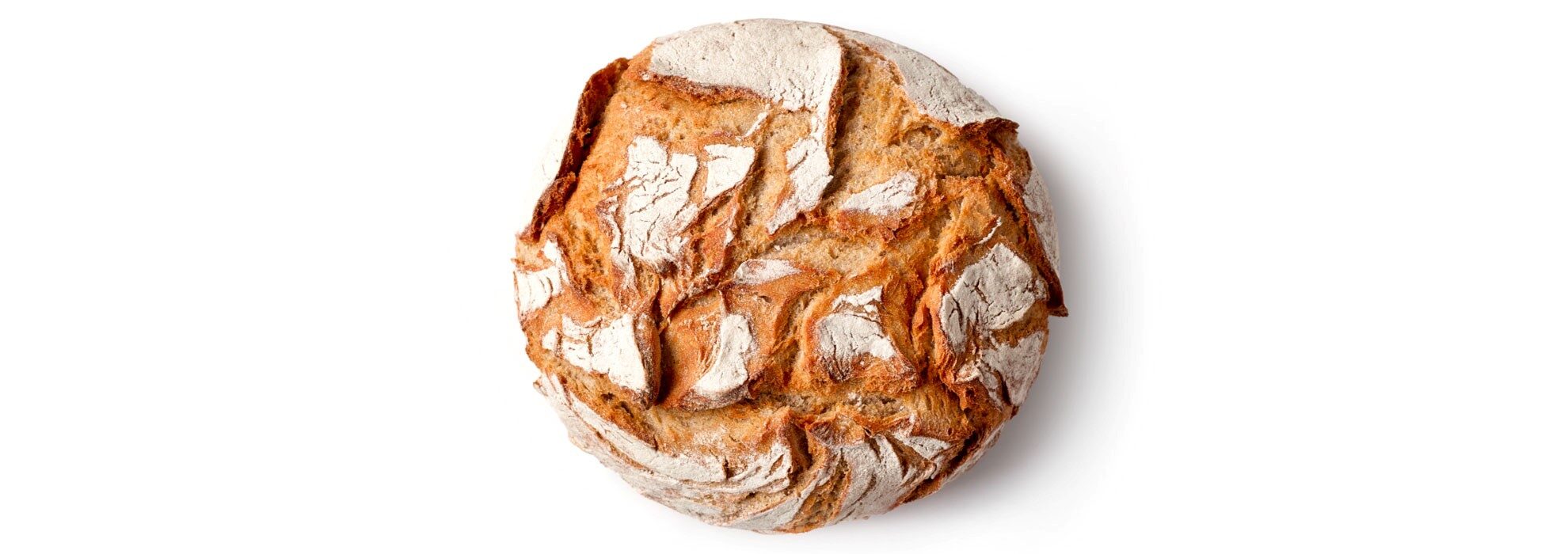 Levadura de panadería