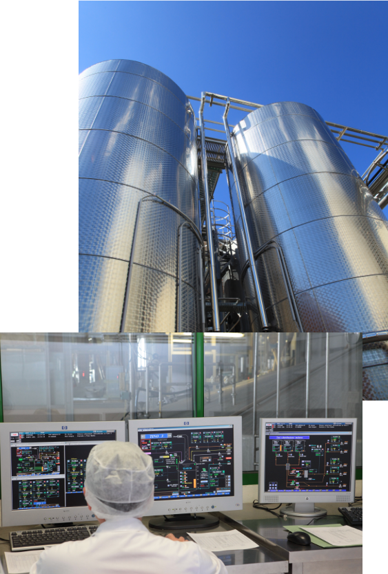 productor mundial del sector de la levadura industrial de panadería